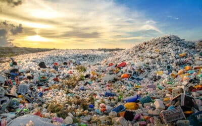Plastic Pollution – A QuickLook at Leading Organizations