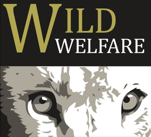 wild welfare
