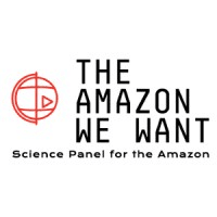 Science Panel for the Amazon