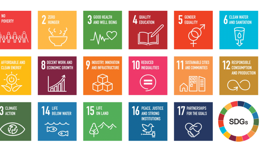 Education for Sustainability and the SDGs: A QuickLook at Advocating Organizations
