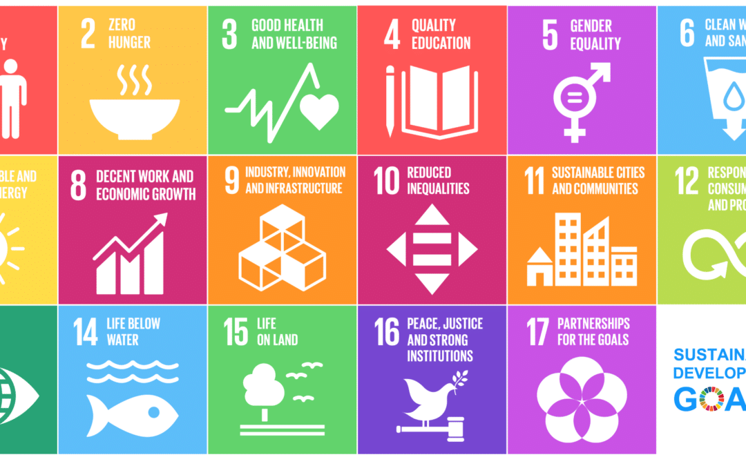Education for Sustainability and the SDGs: A Short Guide to Advocating Organizations