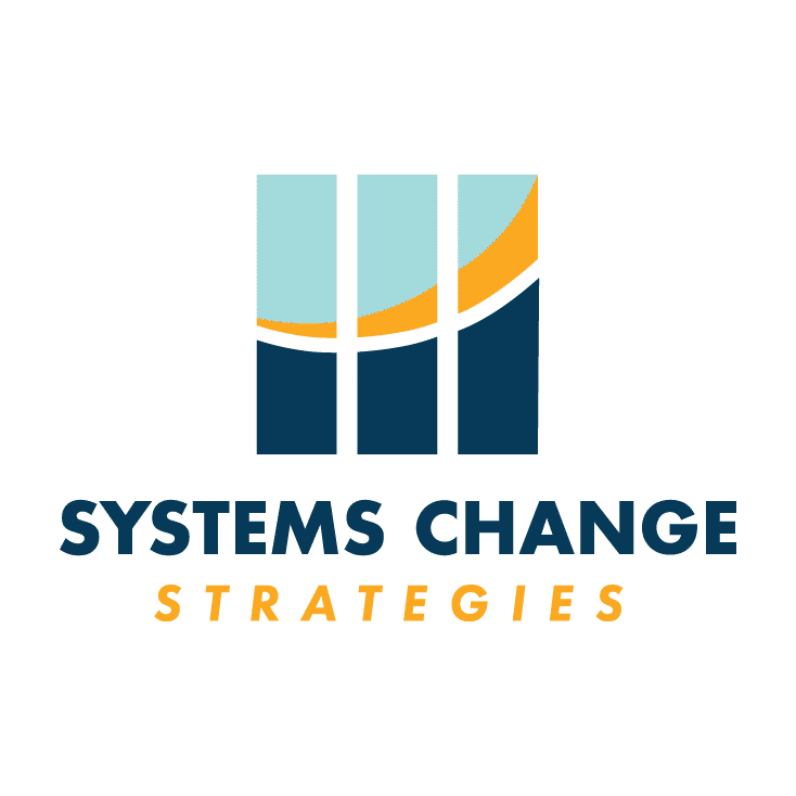 Systems Change Strategies