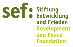 Stiftung Entwicklung und Frieden