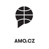 AMO – Association for International Affairs