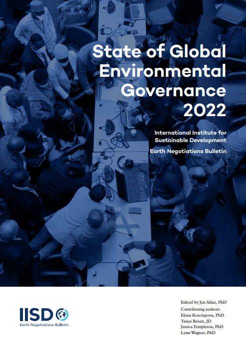 State of Global Environmental Governance 2022
