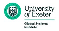 Global Systems Institute