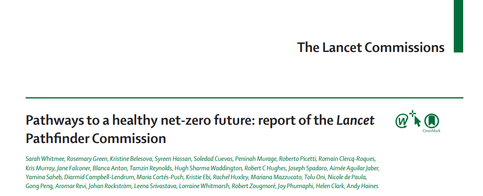 Pathways to a healthy net-zero future