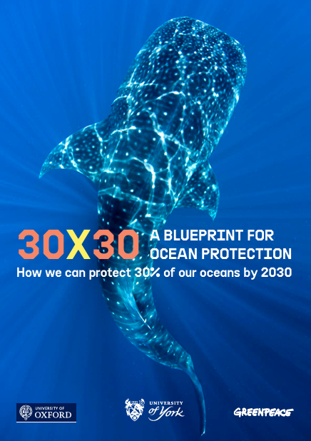 30×30 A Blueprint for Ocean Protection